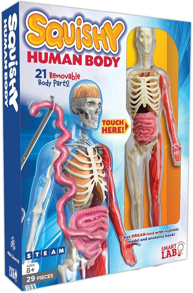 SmartLab Toys Squishy Human Body, Multicolor, Standard | Amazon (US)