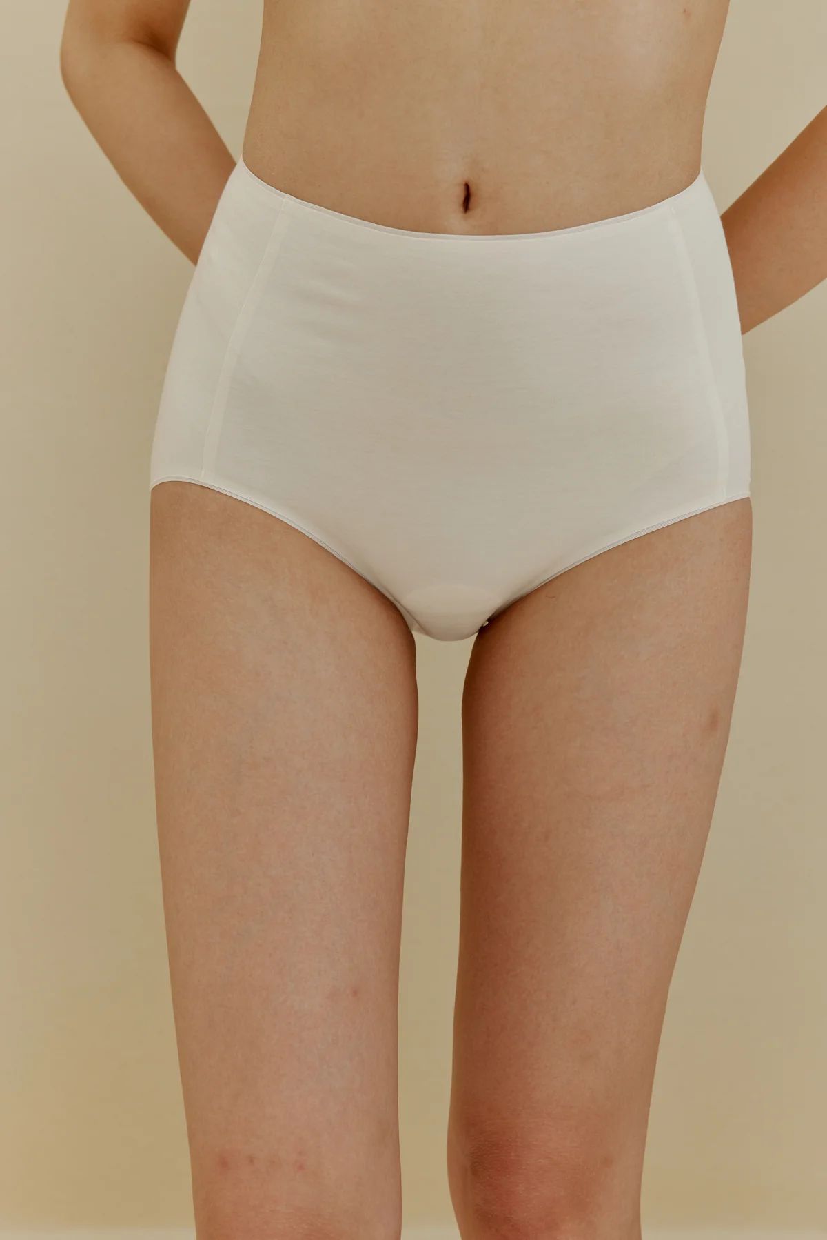 Essential Seamless High-Waist Brief | NEIWAI