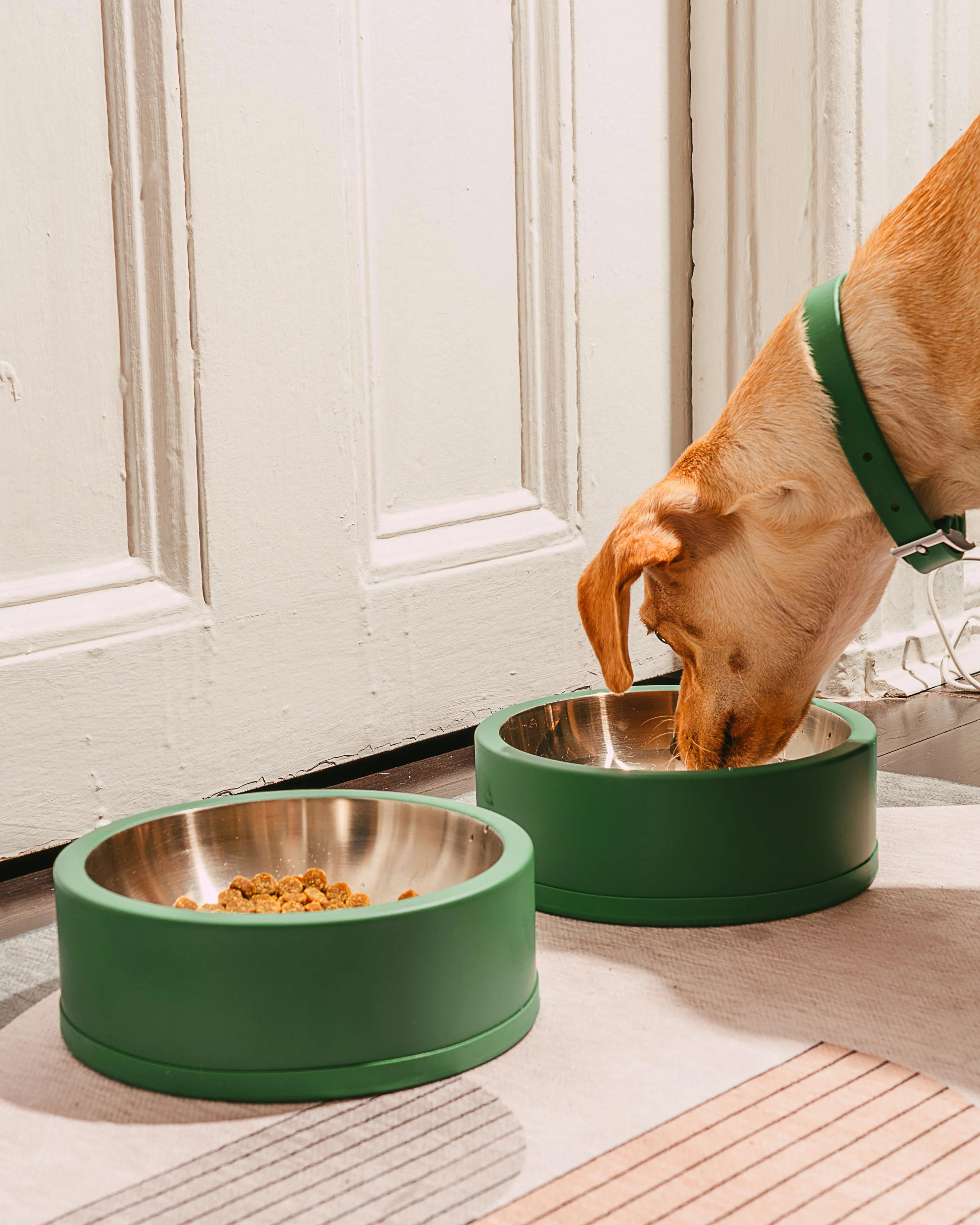 Stainless Steel Dog Bowl Set - Wild One | Wild One