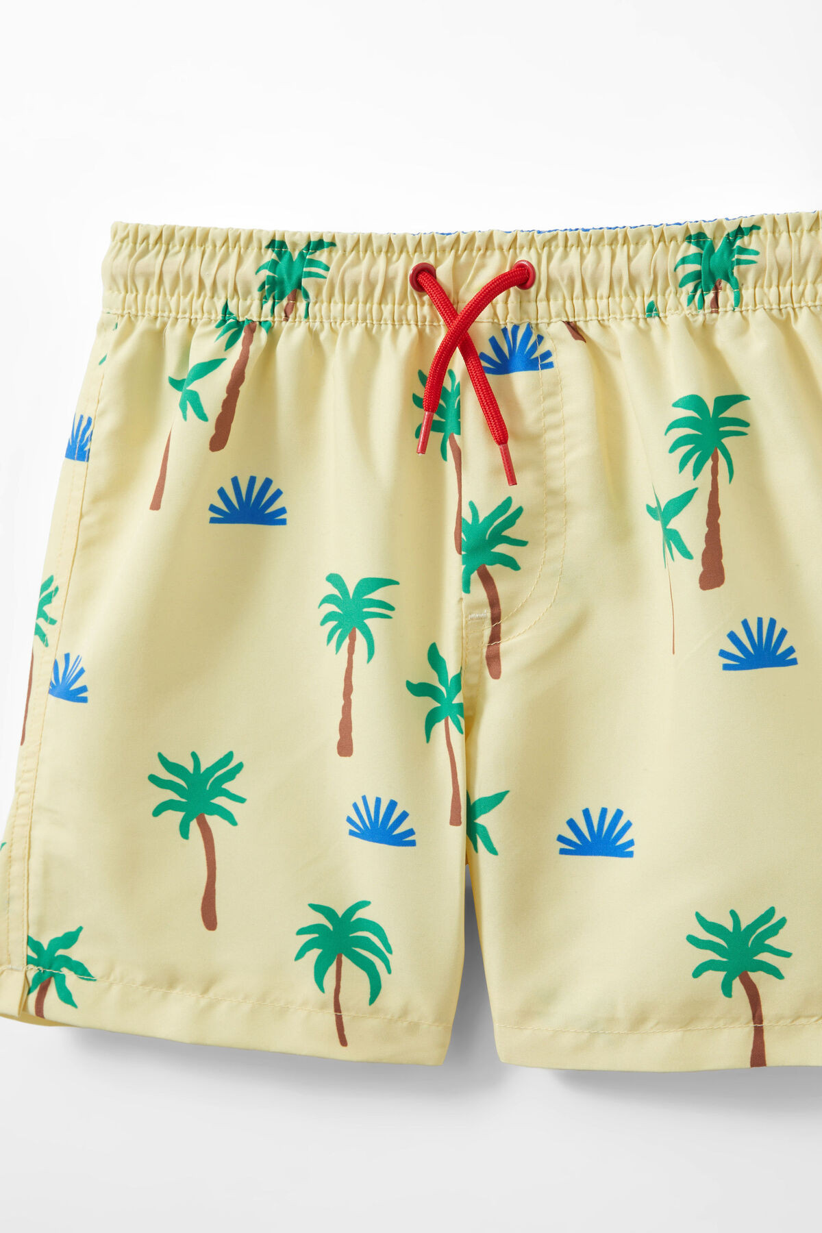 Bailey Board Short | Cotton On (US)