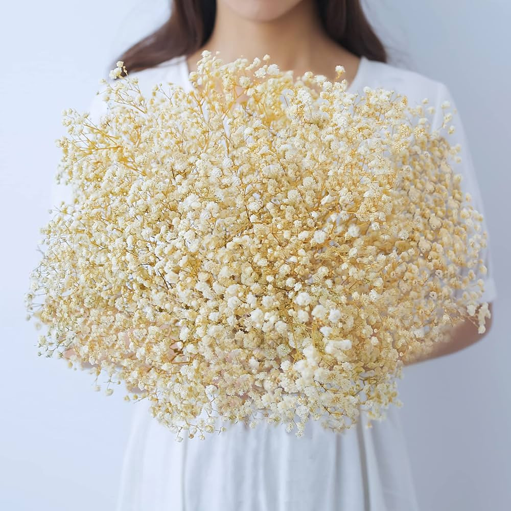 beerfingo Dried-Flowers-Babys-Breath-Bouquet-17.2 inch 2500+ Ivory White Flowers, Natural Gypsoph... | Amazon (US)