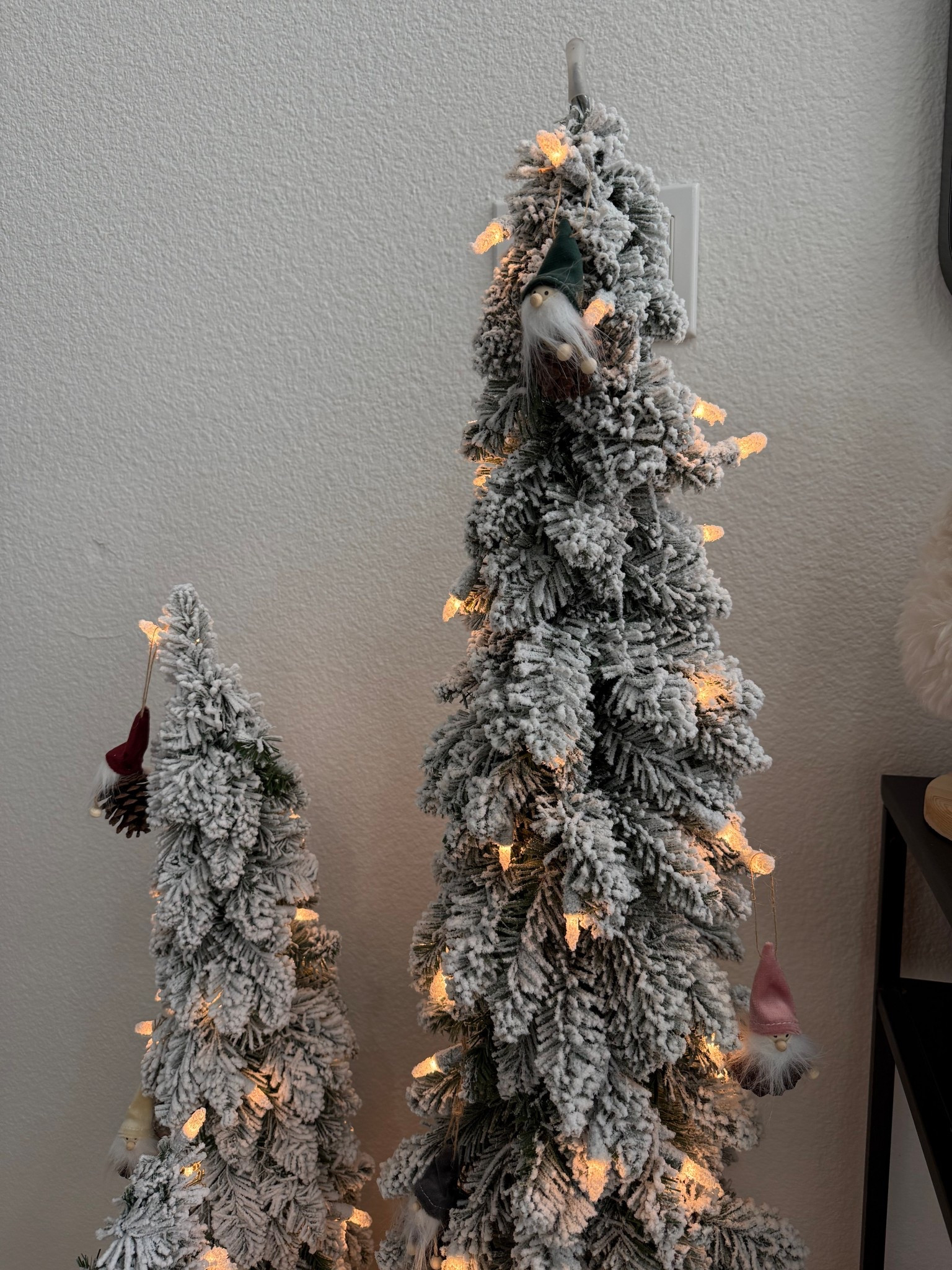 Pinecone And Velvet Gnome Boxed Ornaments 6 Pack