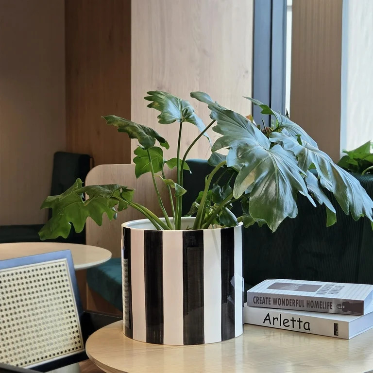 Mainstays Andrew 10" x 10" x 8.75" Round Rich Black and Arctic White Ceramic Planter | Walmart (US)