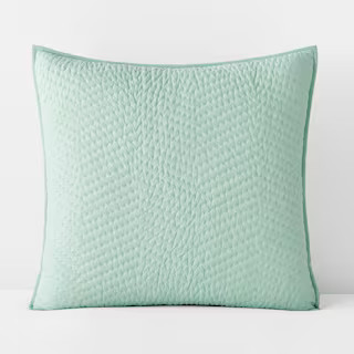 The Company Store Company Cotton Sea Spray Solid Euro Sham N2R1-E-SEA-SPRAY - The Home Depot | The Home Depot