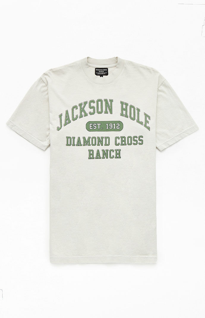 Diamond Cross Ranch Men's Protector T-Shirt in Heather Grey - Size Medium | PacSun