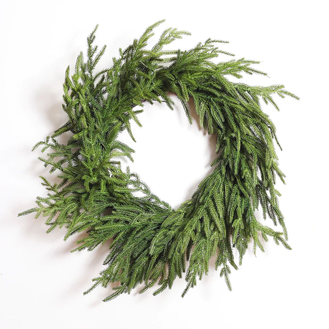 Norfolk Collection - Real Touch Norfolk Pine Front Door Christmas Holiday Winter Wreath - 2 Size ... | Darby Creek Trading