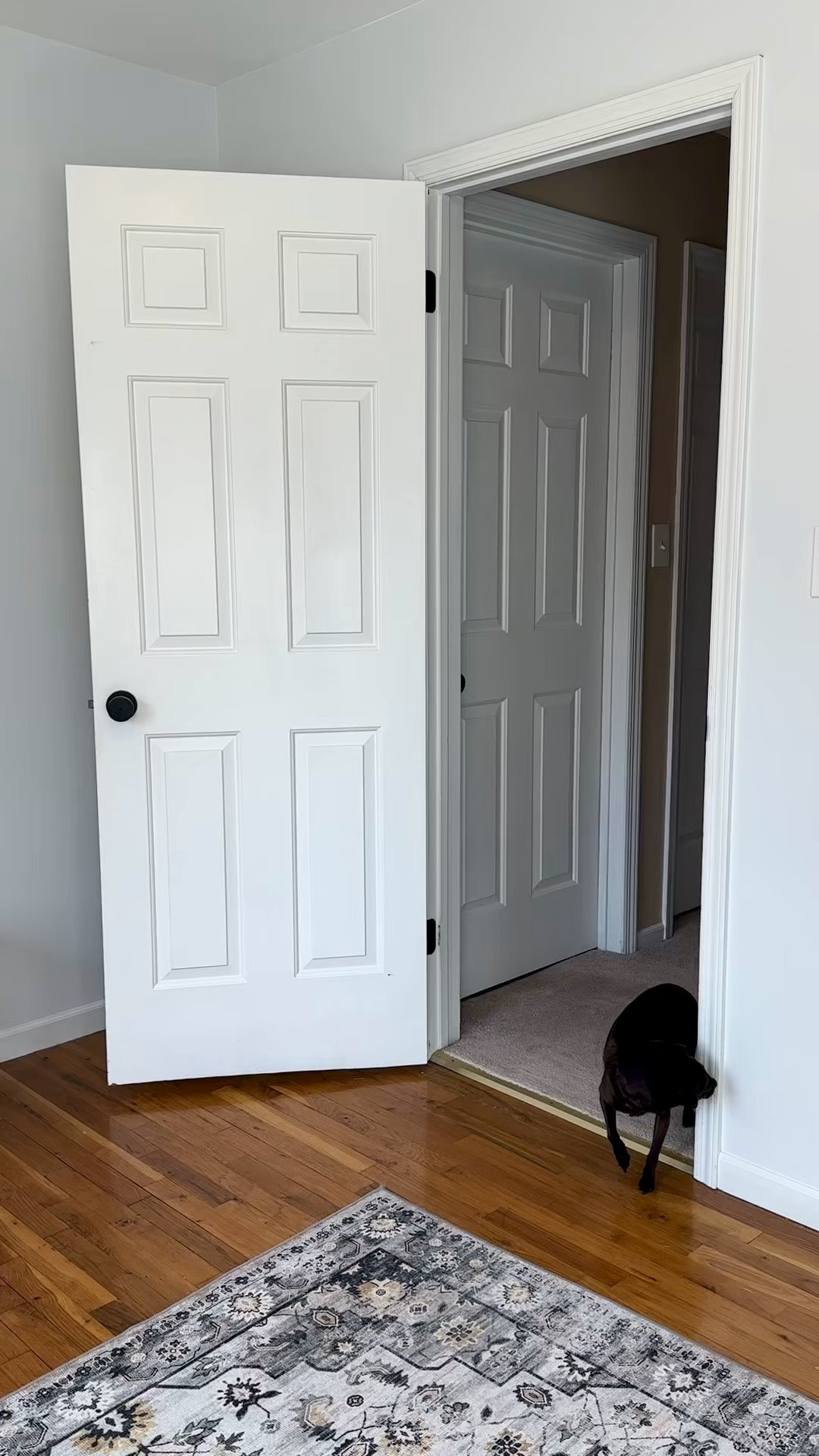 Serving up Thanksgiving outfit inspo 🍂✨ Whether you’re hosting, feasting, or just here for the pumpkin pie, this look is all about being comfy and chic. Perfect for that second (or third) helping! 🦃

#ThanksgivingOutfit #FallFashionInspo #HolidayStyle #OOTD #CozyChic 

#LTKStyleTip #LTKFindsUnder100 #LTKHoliday