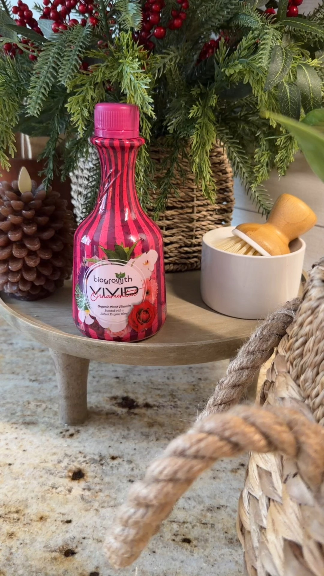 Pick up this plant & planter from Lowe’s and give it a boost with Biogrowth! The perfect gift idea for all your plant loving friends 

#LTKSeasonal #LTKHoliday #LTKHome