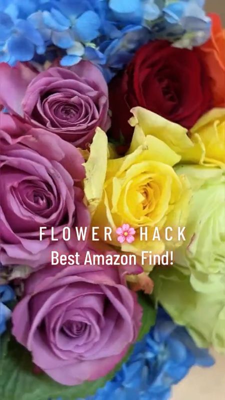 My Flower Arranging Hack: Everything You Need!💗🌸

spring home finds, flowers, flower arrangement, amazon home find, flower vase 

#LTKSeasonal #LTKunder50 #LTKhome