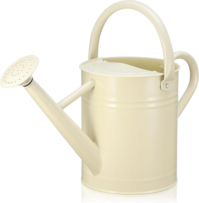 Watering Can for Outdoor Plants and Indoor Plants,1 Gallon Metal Watering Can for Garden Flower,G... | Amazon (US)