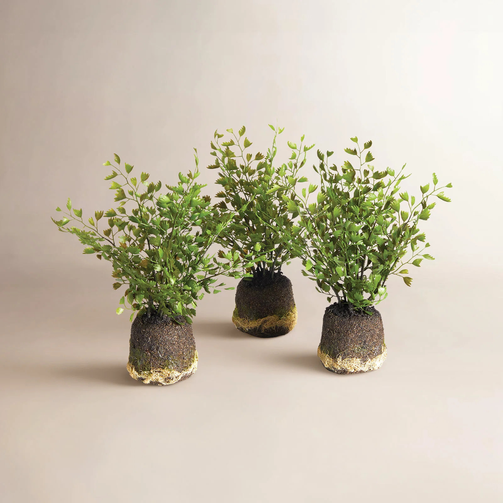 Birch Lane™ Adiantum Realistic Faux Maidenhair Drop-Ins, Set of 3 | Wayfair | Wayfair North America