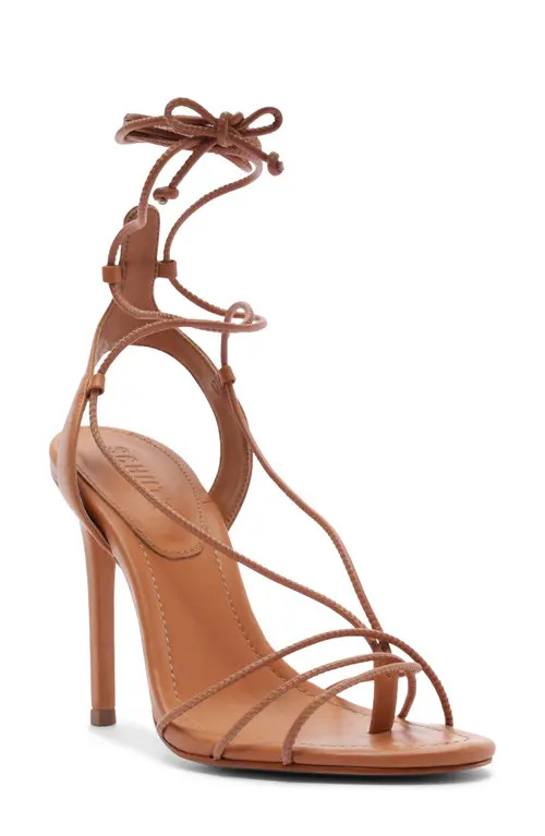 Schutz Demetria Ankle Strap Stiletto Sandal in Earth Clay at Nordstrom, Size 10 | Nordstrom