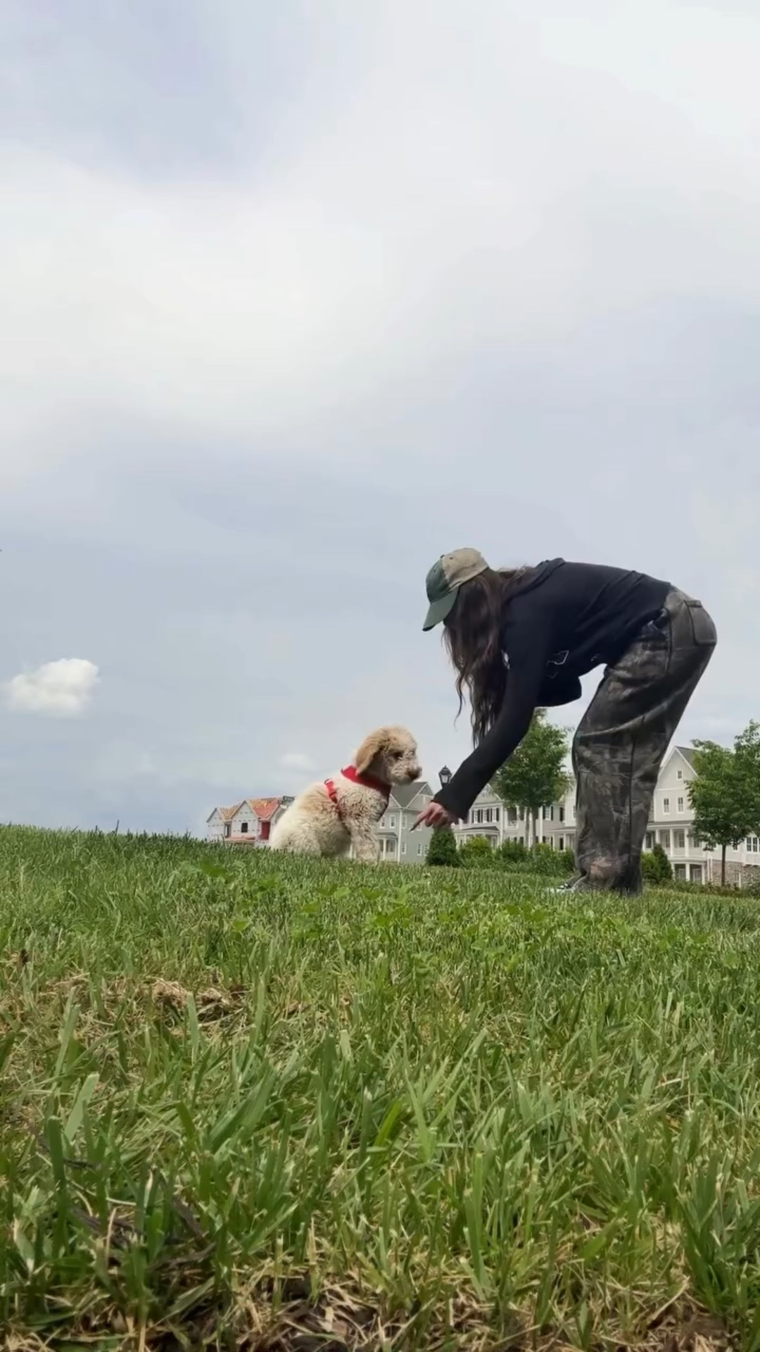 i am a mother ♥🐾🐶

#dogsofinstagram