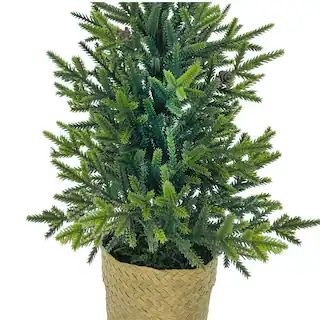 18" Green Mini Tabletop Pine Tree in Basket by Ashland® | Michaels | Michaels Stores