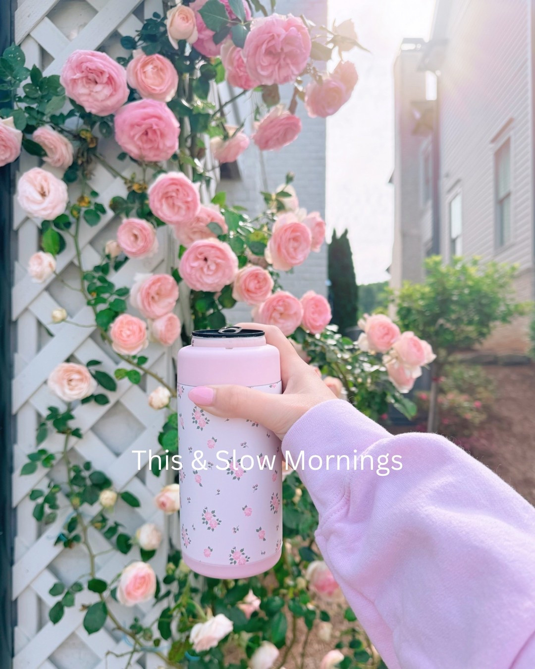 Rosette can koozie and tumblers! 

#LTKSeasonal #LTKFindsUnder50 #LTKHome