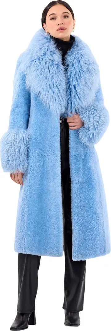 Genuine Shearling Short Coat | Nordstrom