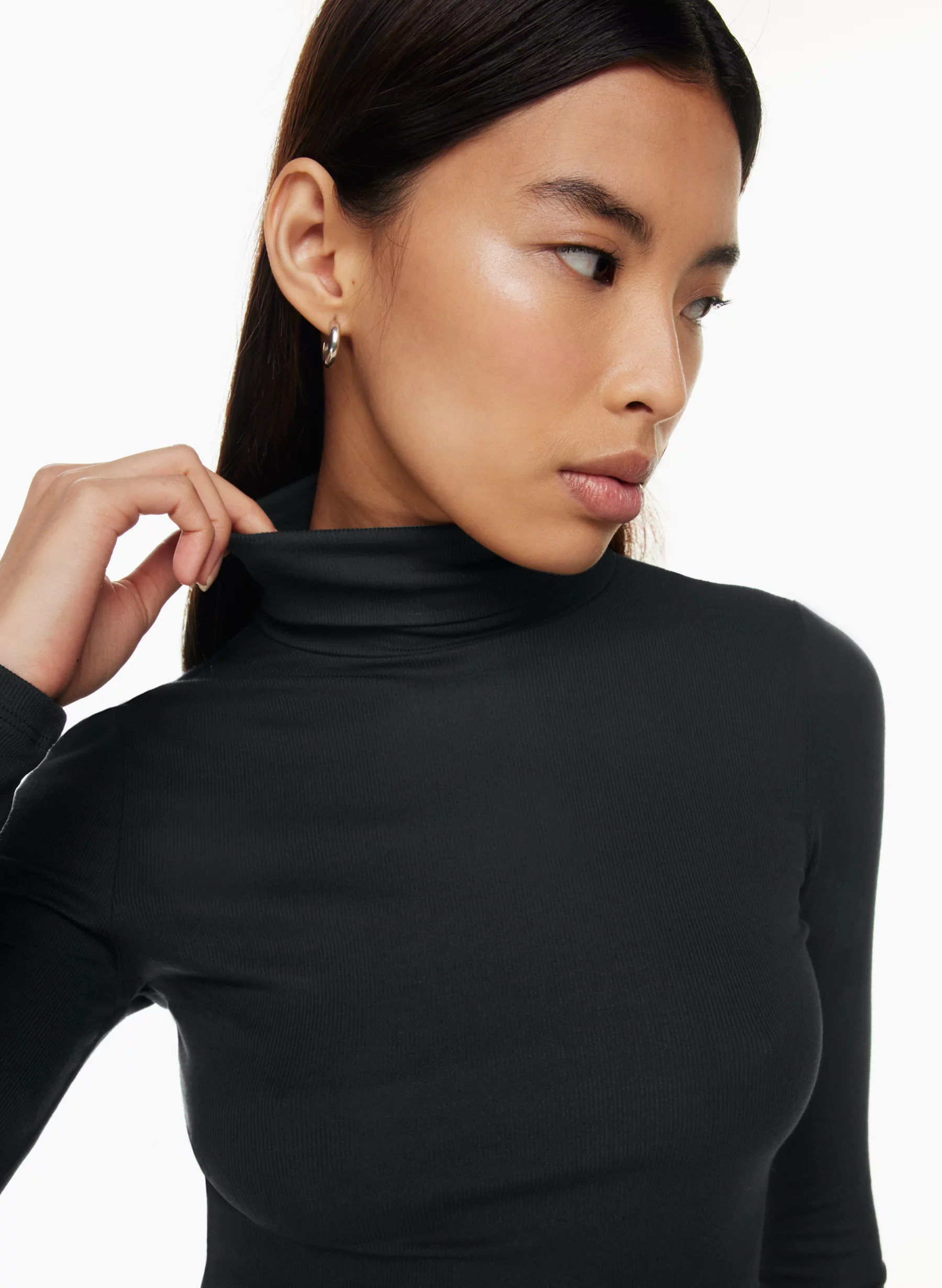 FRESHMAN CROPPED TURTLENECK | Aritzia