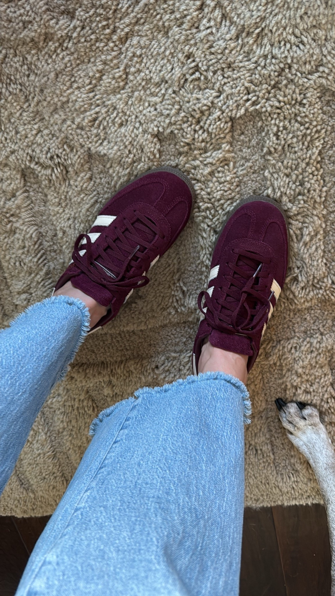 The maroon Adidas Spezial were calling my name!! These are FAR more comfortable compared to my Adidas Gazelle, and they don’t squeak!

Order a half size smaller than your normal size.



#LTKSeasonal #LTKHome