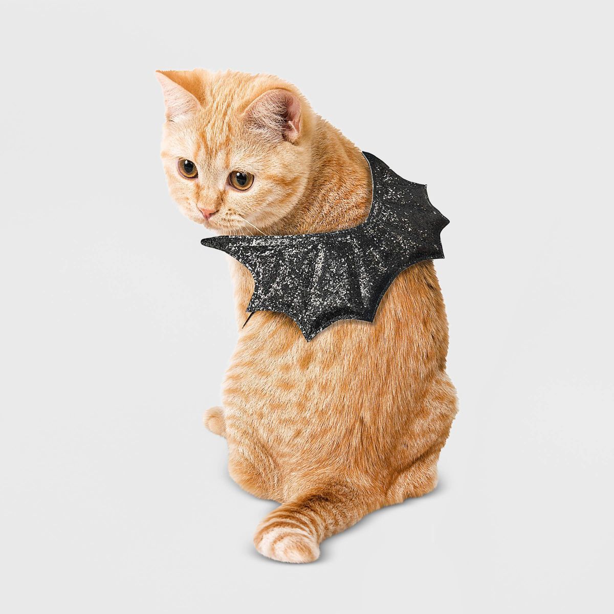 Black Glitter Wings Cat Costume - Hyde & EEK! Boutique™ | Target