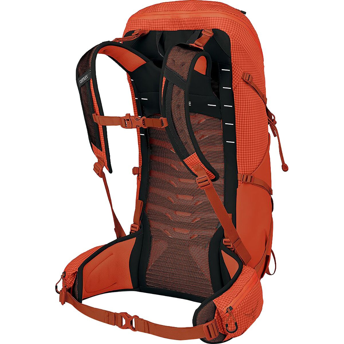 Osprey Packs Talon Pro 30L Backpack - Accessories | Backcountry