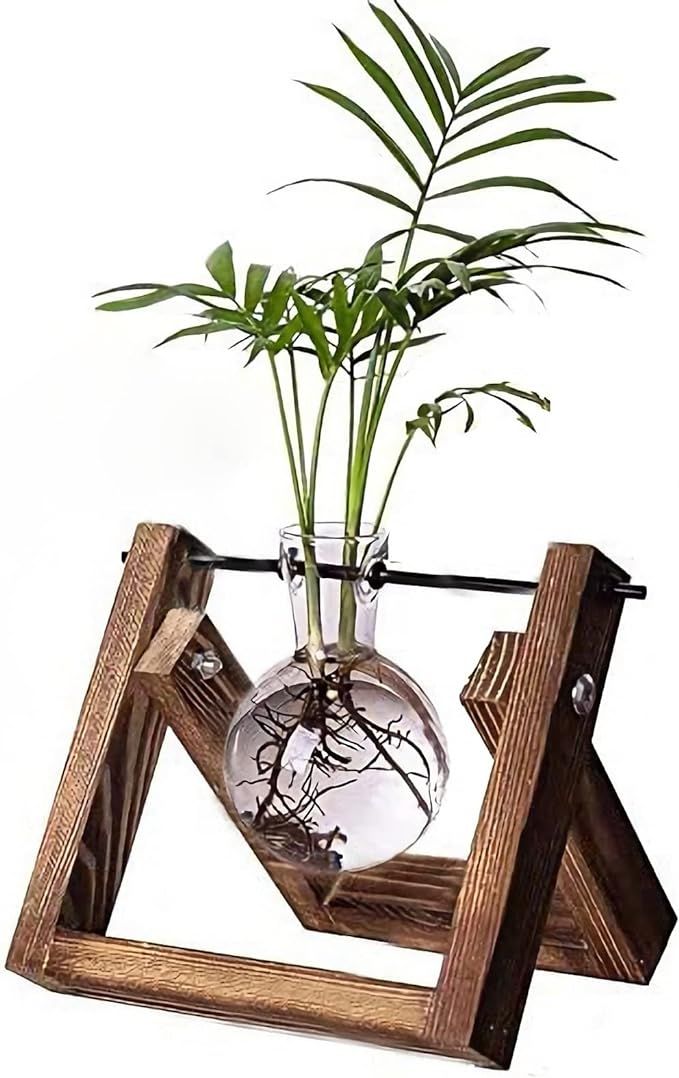 Kingbuy Plant Propagation Station Air Plant Terrarium Bulb Vase with Wooden Swivel Holder Desktop... | Amazon (US)