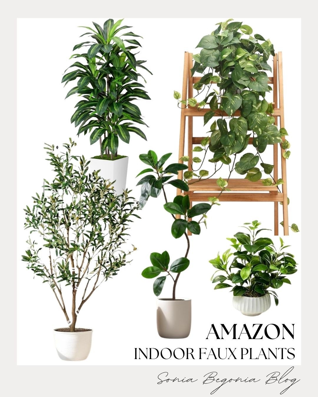 Bring the outdoors inside with these realistic Amazon faux plants! 🌿 

From leafy trees to cascading pothos, they add effortless greenery to any room with zero maintenance required. ✨

#AmazonHome #FauxPlants #LTKhome #HomeDecor #PlantInspo #InteriorStyling

#LTKHome