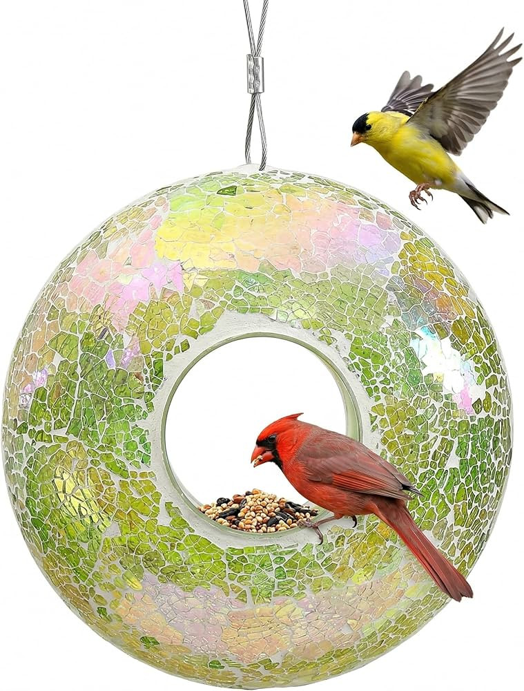Bird Feeder, Round Squirrel-Proof Wild Bird Feeder, Fly-Through Hanging Glass Design, Large Wreat... | Amazon (US)