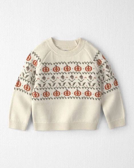 Toddler Organic Cotton Fair Isle Sweater Knit Pullover - Little Planet | Carter's | Carter's Inc