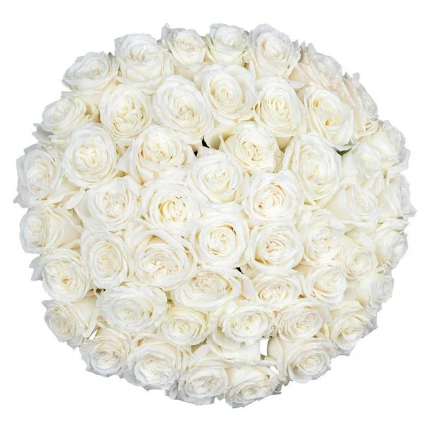 Member's Mark  Member's Mark Ecuadorian Premium Roses, choose color variety and stem count (No ra... | Sam's Club