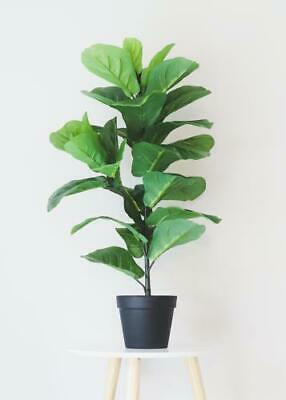 1PK Fake Fiddle Leaf Fig Tree Floor leaves in Pot - 31.5" Tall | Walmart (US)