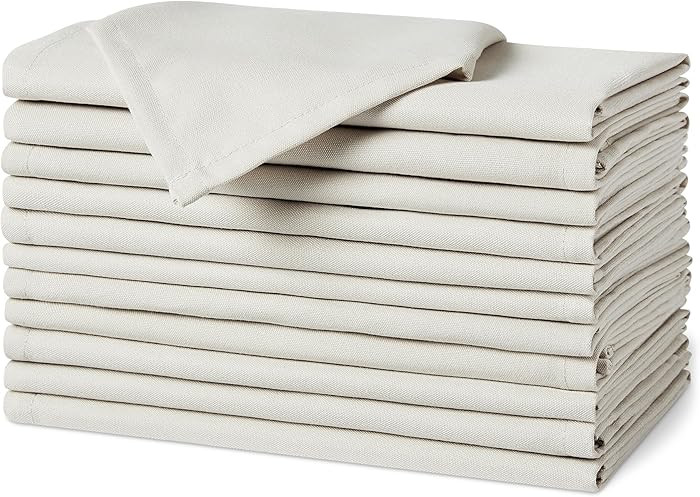 Amazon Basics Reusable Stain and Wrinkle Resistant Cloth Napkins, 17 x 17 inches, White, 12-Pack | Amazon (US)
