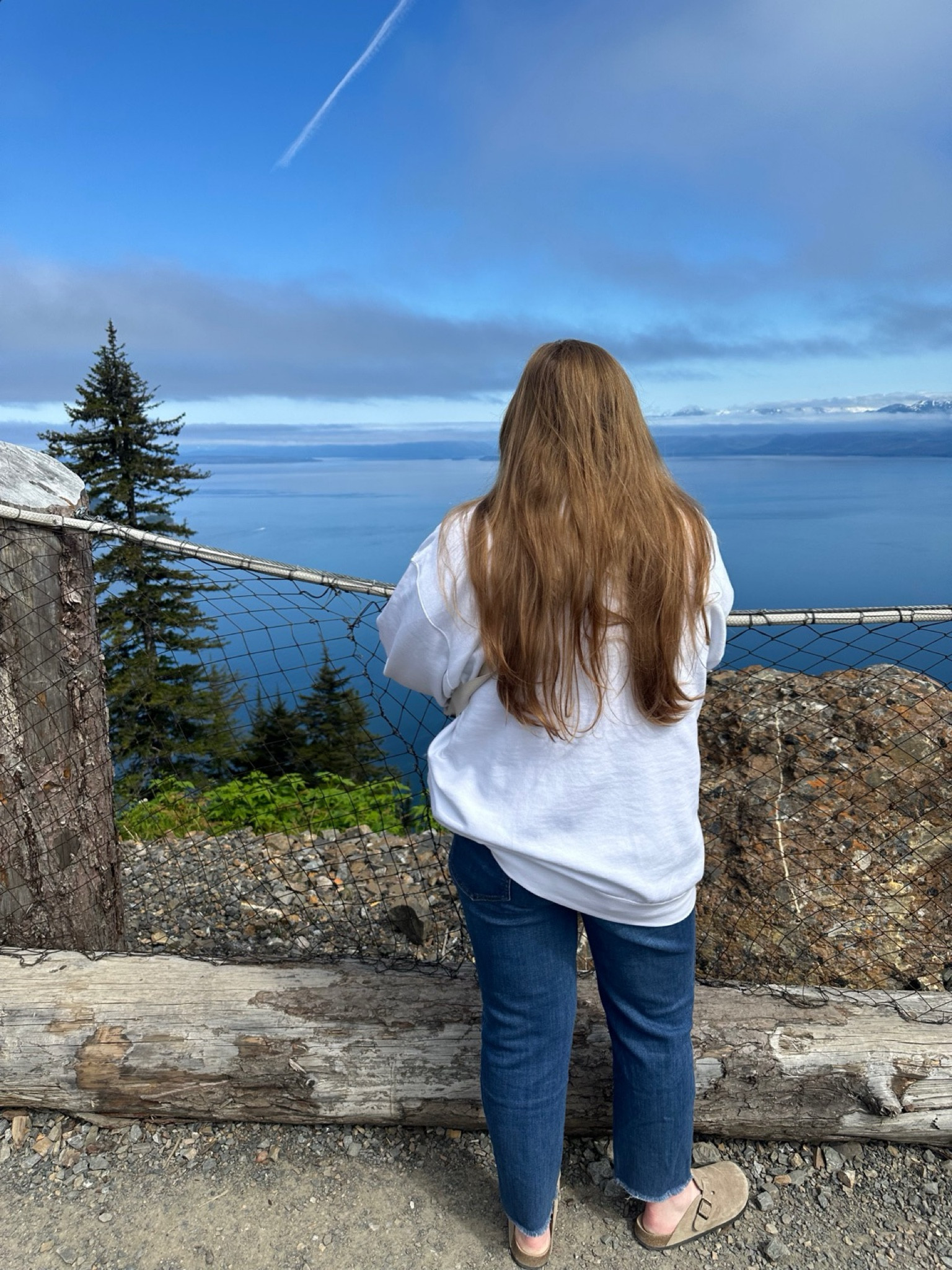 #LTKStyleTip #LTKMidsize #LTKFindsUnder50