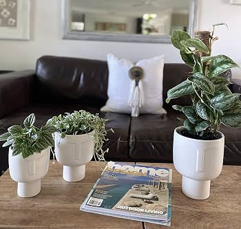 Willow & Muse Ceramic 8 inch White Head Planter Pot, Self Watering, Indoor Use, 1L, Modern | Amazon (US)