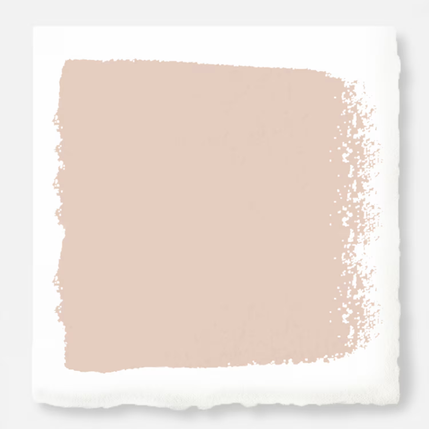 Ella Rose  -  Premium Interior Paint | Magnolia