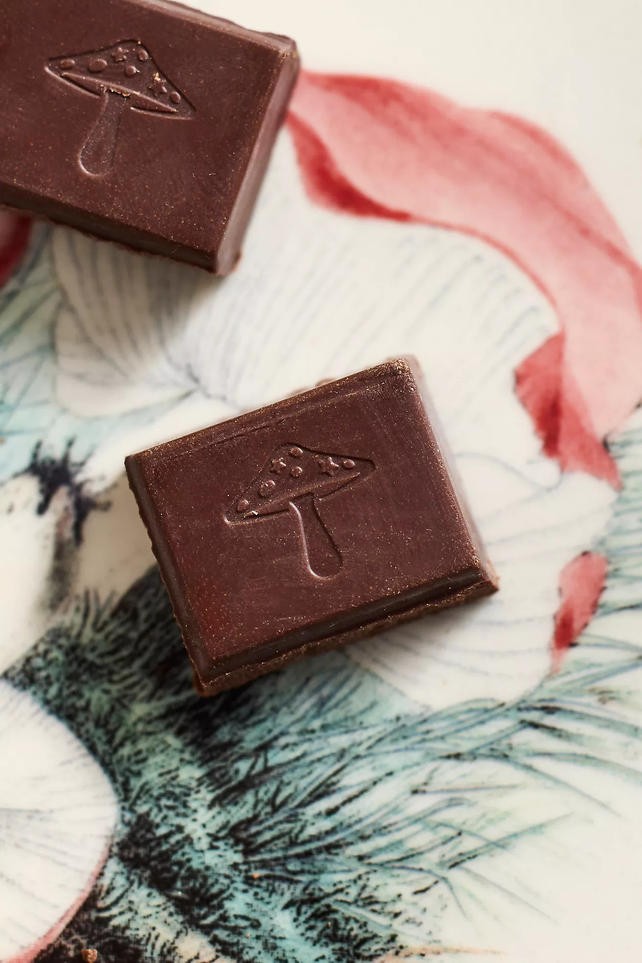 Alice Brainstorm Mushroom Chocolate | Anthropologie (US)