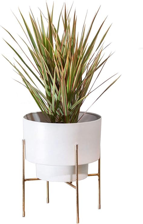 Metal Planter (White) with Gold Metal Stand - Made in India | Amazon (US)