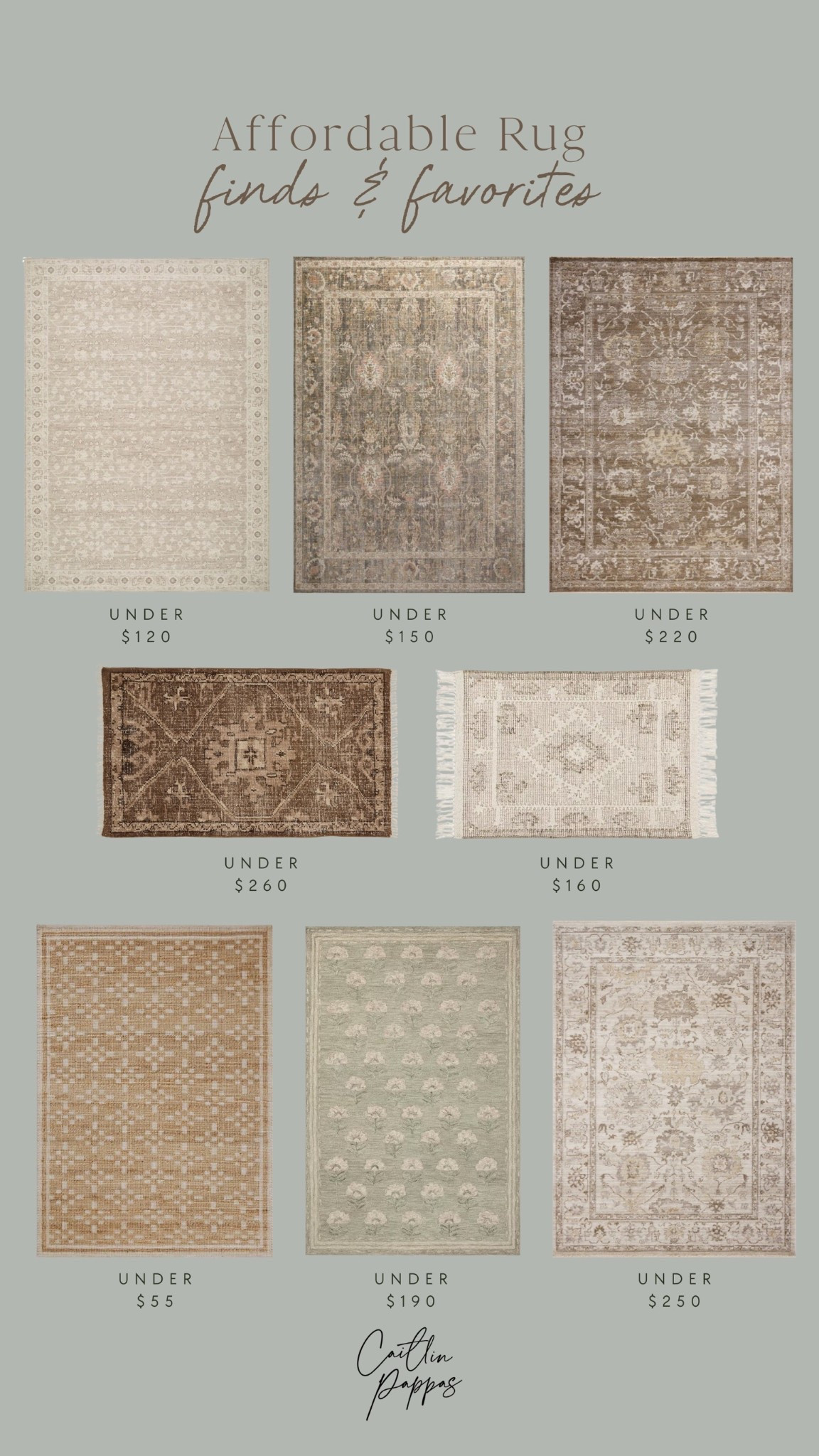 Affordable, vintage rugs 🤎 Neutral rug, antique rug, moody home, traditional home, affordable home rugs

#LTKHome