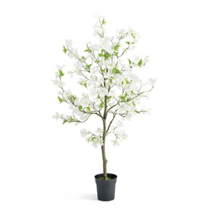Dogwood Potted Tree | Grandin Road