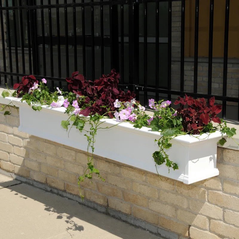 Anand Self Watering Vinyl Window Box Planter | Wayfair North America