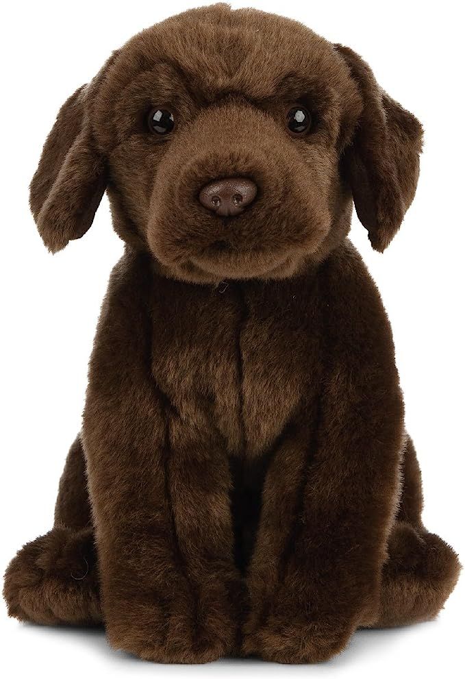 Living Nature Soft Toy 8" Plush Labrador Dog Chocolate Brown Plush Toy | Amazon (US)