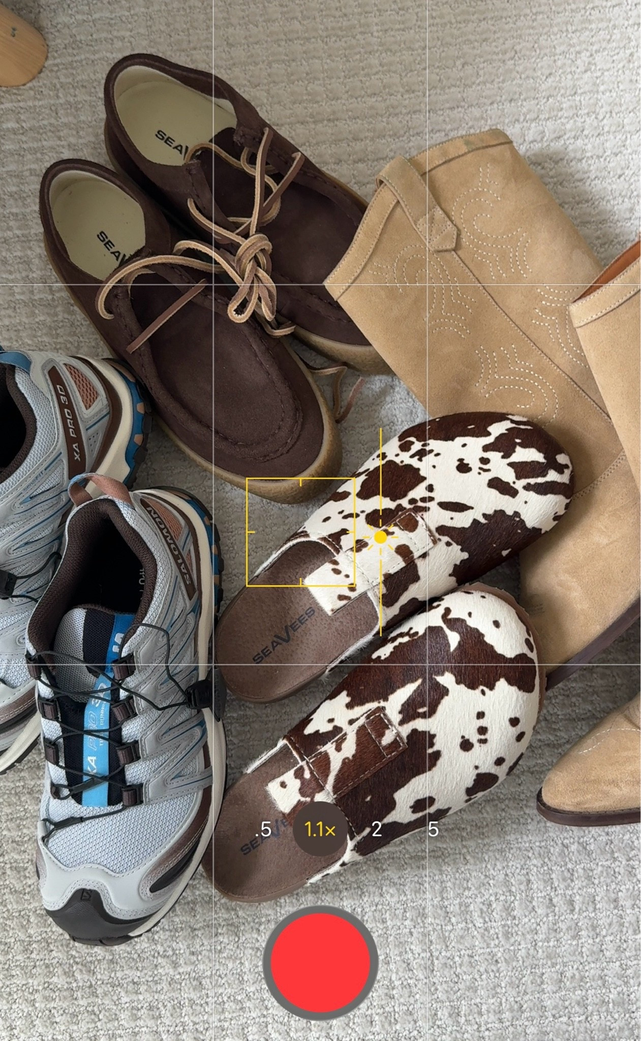 Shoes I’ll be loving & wearing this fall!

#LTKootd #LTKSeasonal #LTKdayinmylife