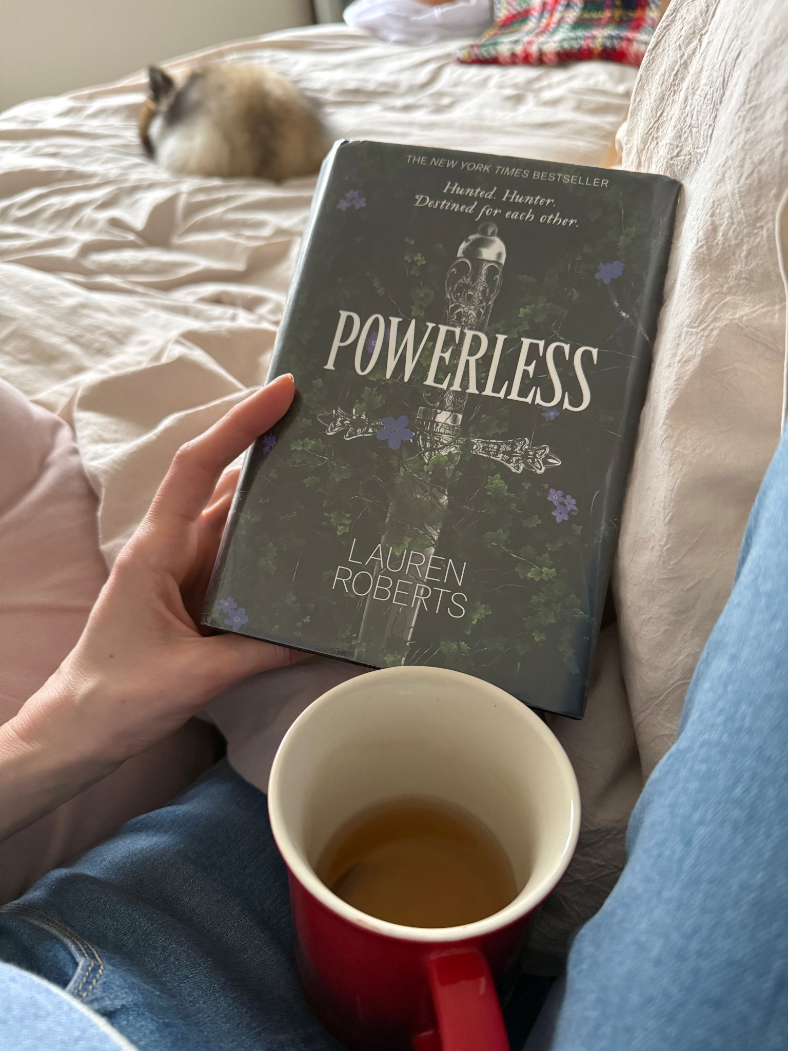 Binge reading this! Probably finish before Christmas and I just started it a couple days ago hehe love the dark side of Kai

#LTKholiday #LTKhome #LTKgiftguide