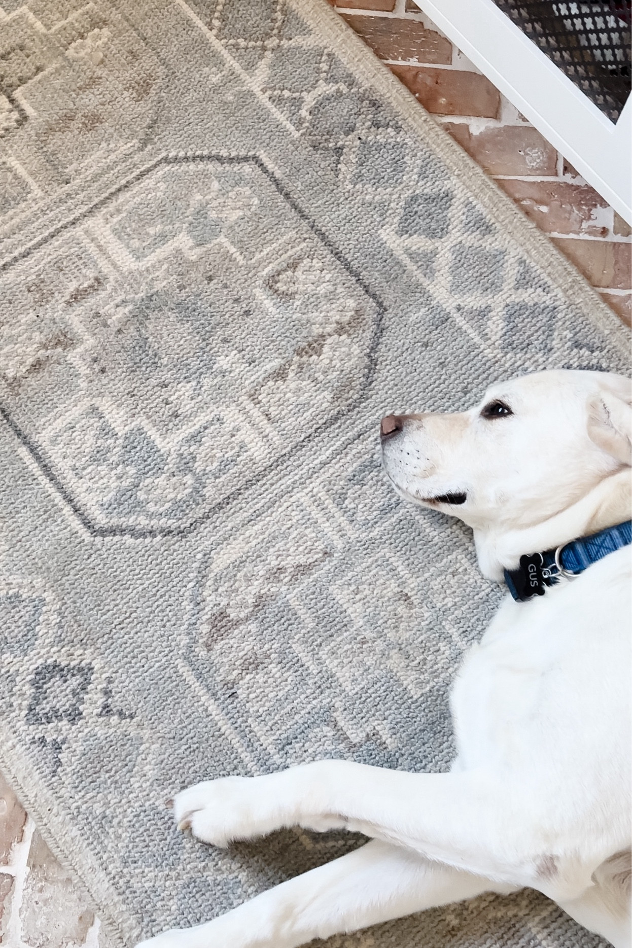 This gorgeous hand knotted rug is on sale!  
Coastal home
Neutrals 
Wool rug

#LTKSummerSales #LTKHome #LTKSaleAlert