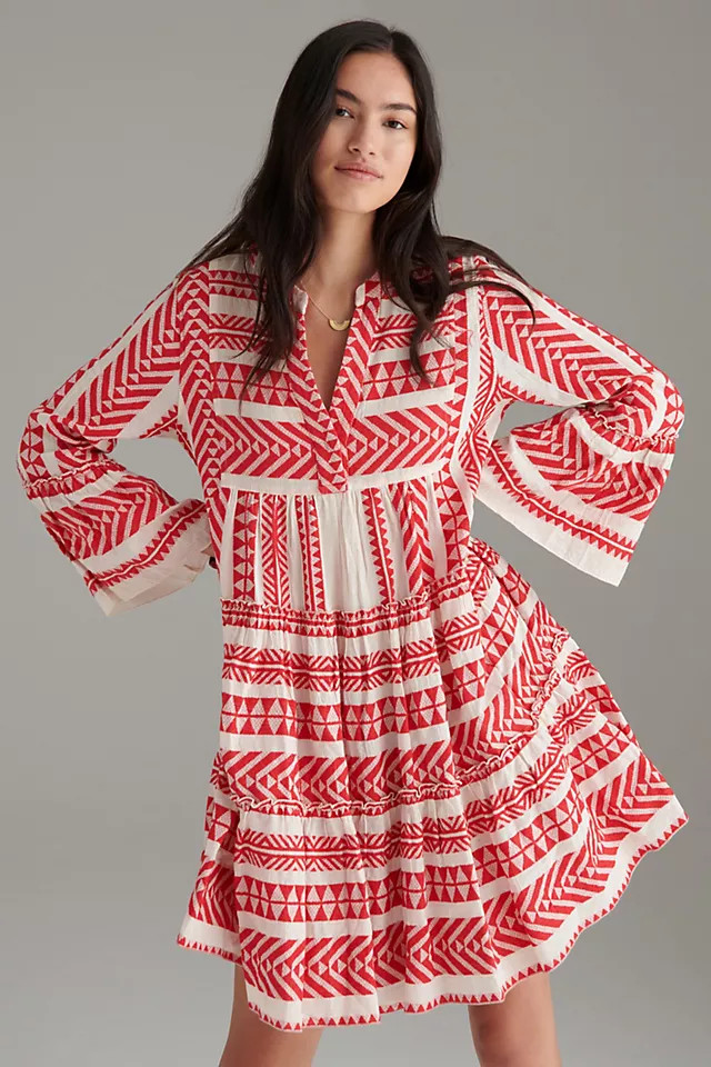 Petra Embroidered Tunic Dress | Anthropologie (US)