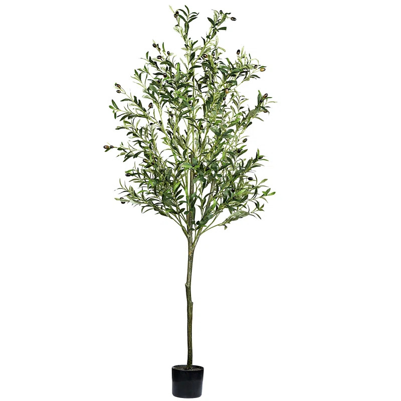 72'' Faux Olive Tree in Pot | Wayfair North America