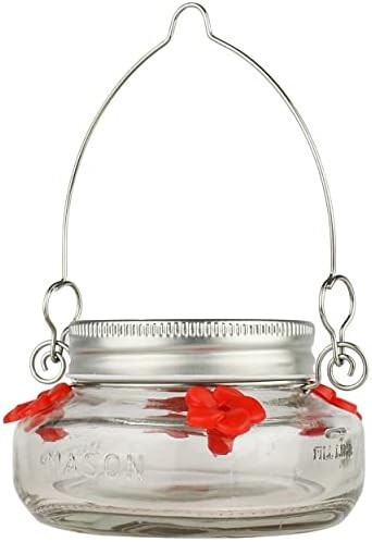 Amazon.com : Nature's Way Bird Products MJF1 Nature's Way Mason Jar Hummingbird Dish Feeder, Clea... | Amazon (US)