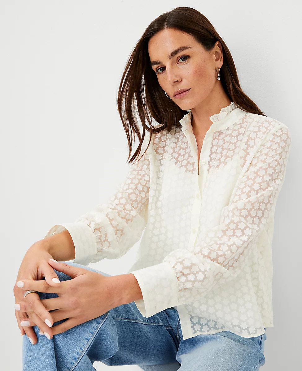 Ann Taylor | Ann Taylor (US)