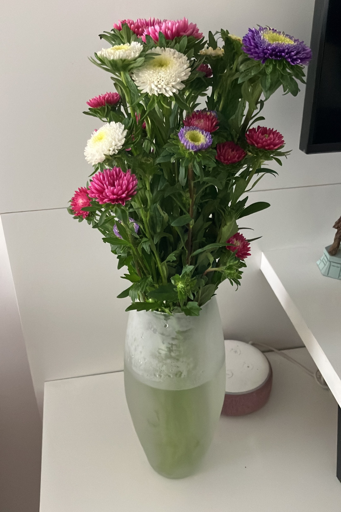 Eu tô viciada em flores em casa! Comprei esse vaso perfeito na TokStok 

#LTKbrasil #LTKfamily #LTKhome