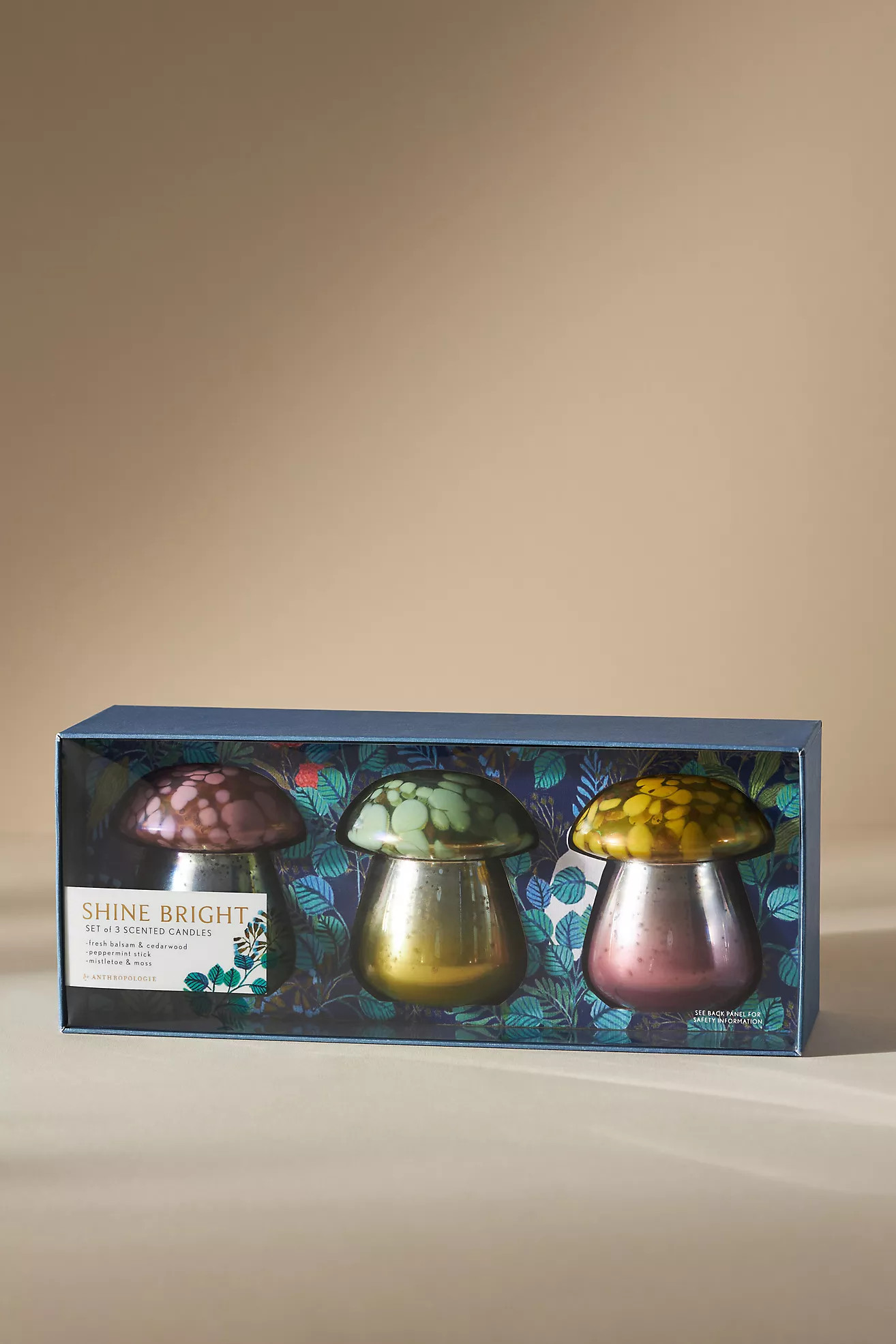 Porcini Mushroom Glass Candle Gift Set | Anthropologie (US)