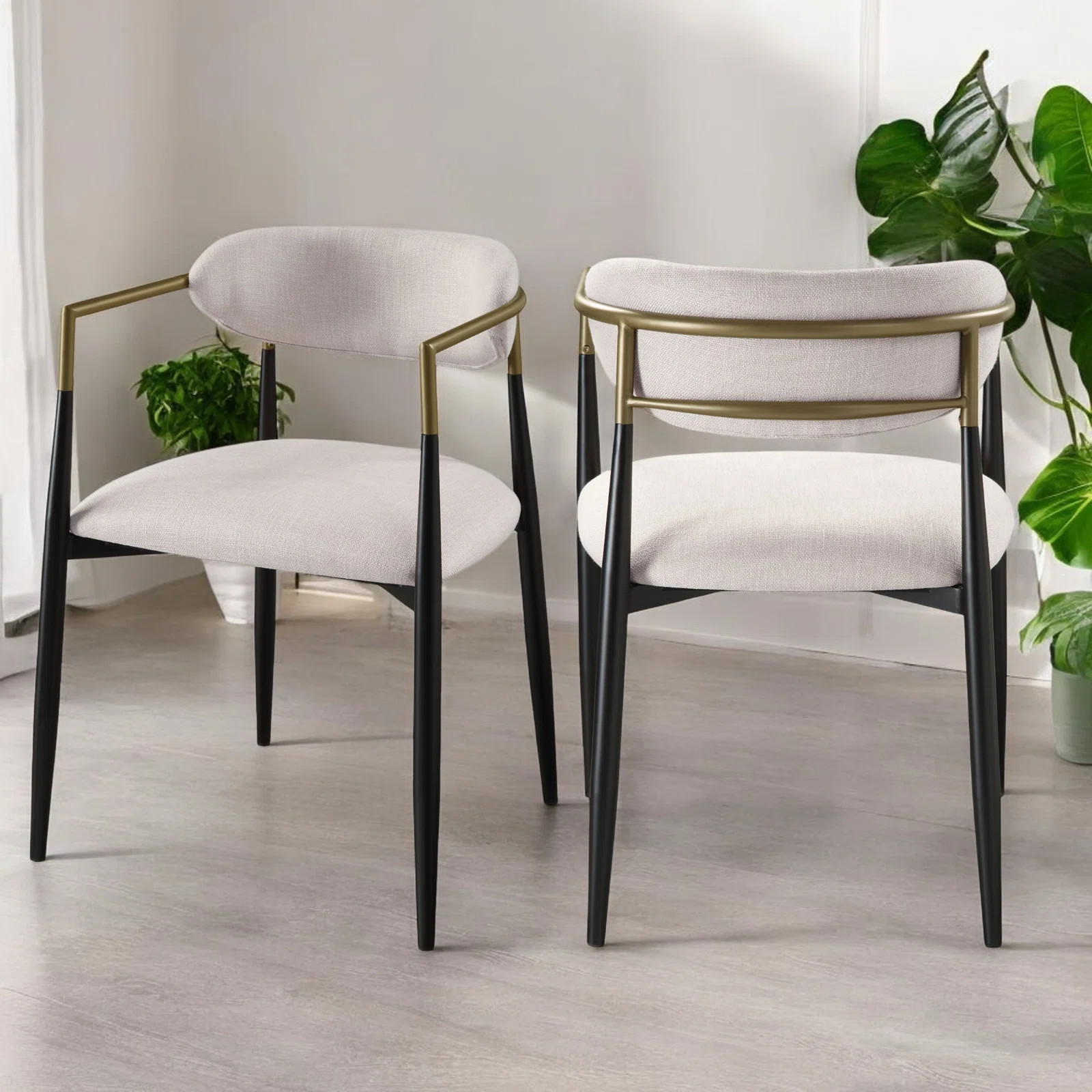 Lisbella Fabric Upholstered Back Arm Chair curved back in Beige/Black (Set of 2) (Set of 2) | Wayfair North America